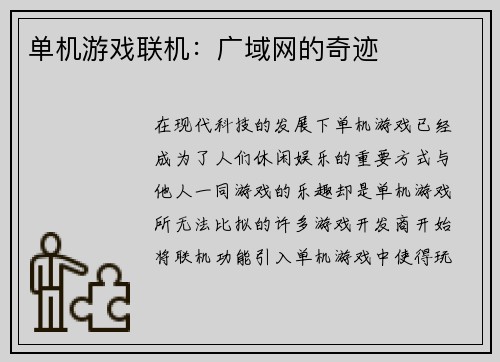 单机游戏联机：广域网的奇迹