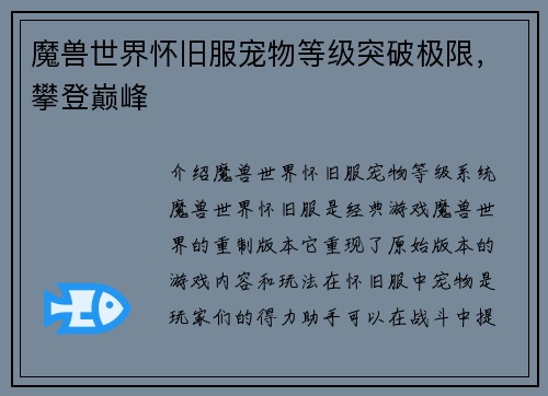 魔兽世界怀旧服宠物等级突破极限，攀登巅峰